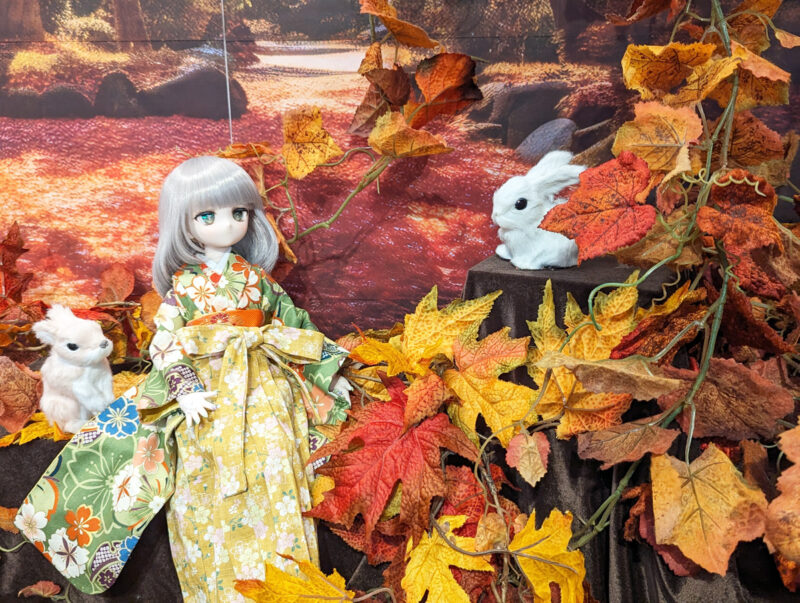 ボークス撮影ブース②