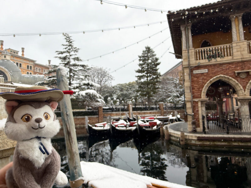 パラッツォ・カナルとニャーリオ③